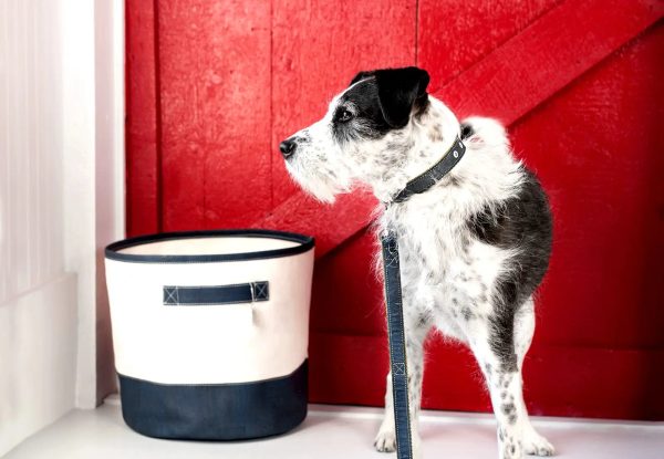 Cork Dog Leash (Cats too!)