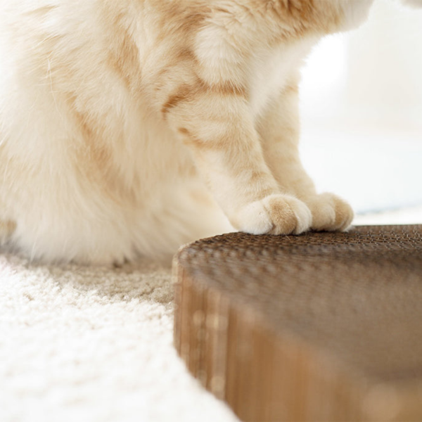 Cardboard Cat Scratcher