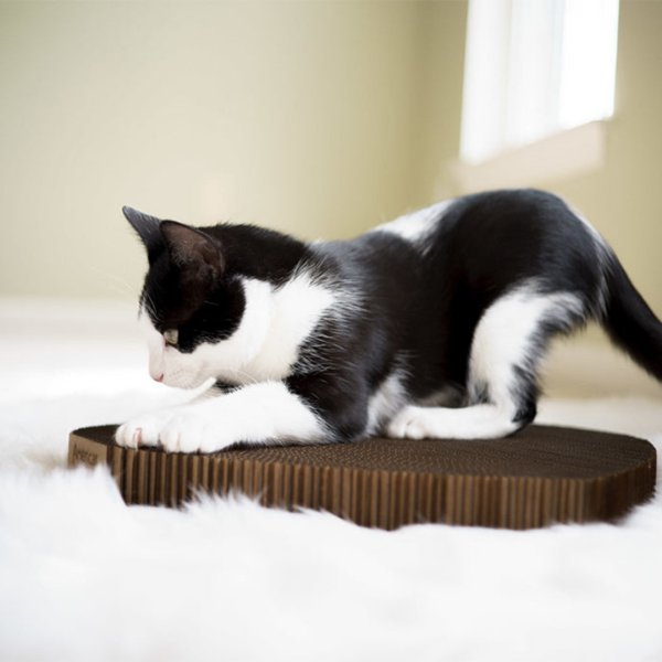 Cardboard Cat Scratcher