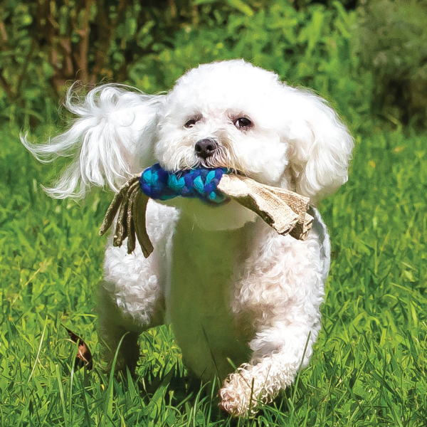 Hemp & Wool Dog Pull Toy