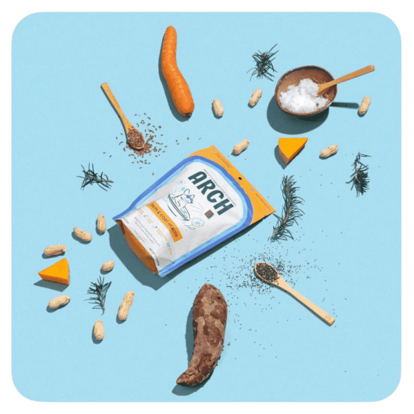 Skin and Coat Dog Treats with Cricket Protein