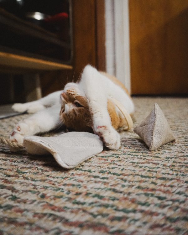 Crinkly Cat Toy Bundle in Natural Cotton and Hemp with Organic Catnip (+ Free Cat Litter Bag)
