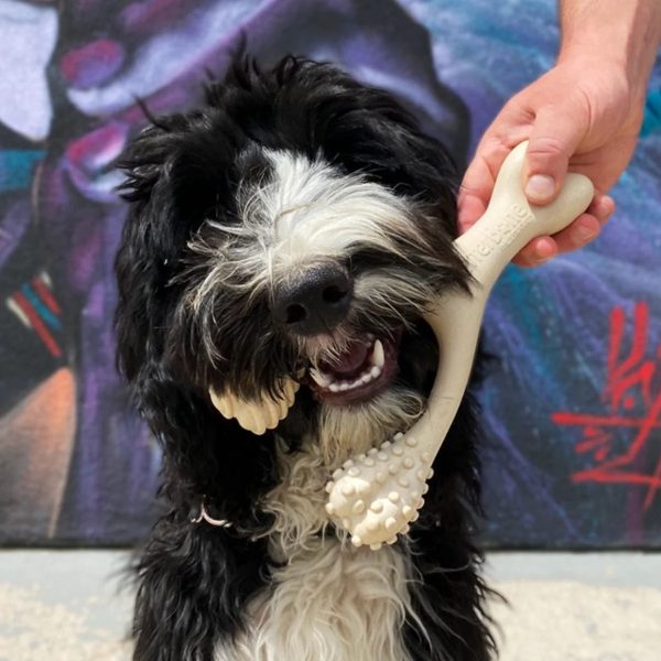 BetterBone SOFT - Safe Chew Toys for Puppies, Seniors and Light Chewers